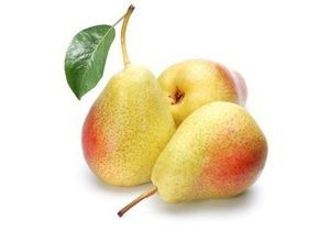 Мевали дарахт кўчатлари сотилади