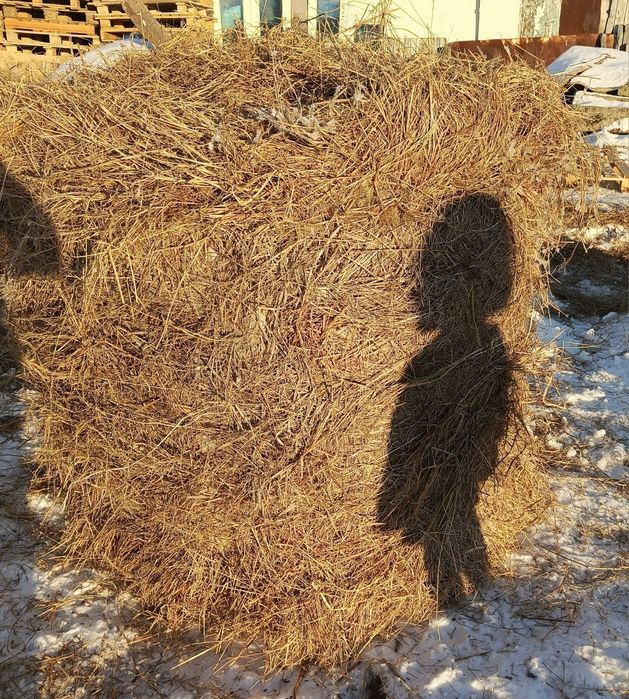 Шөп! Рулон луговое-разнотравье