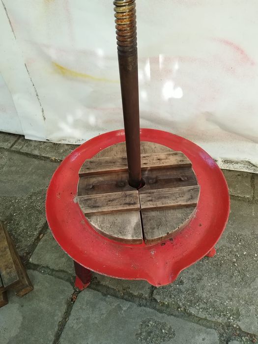 Teasc struguri import