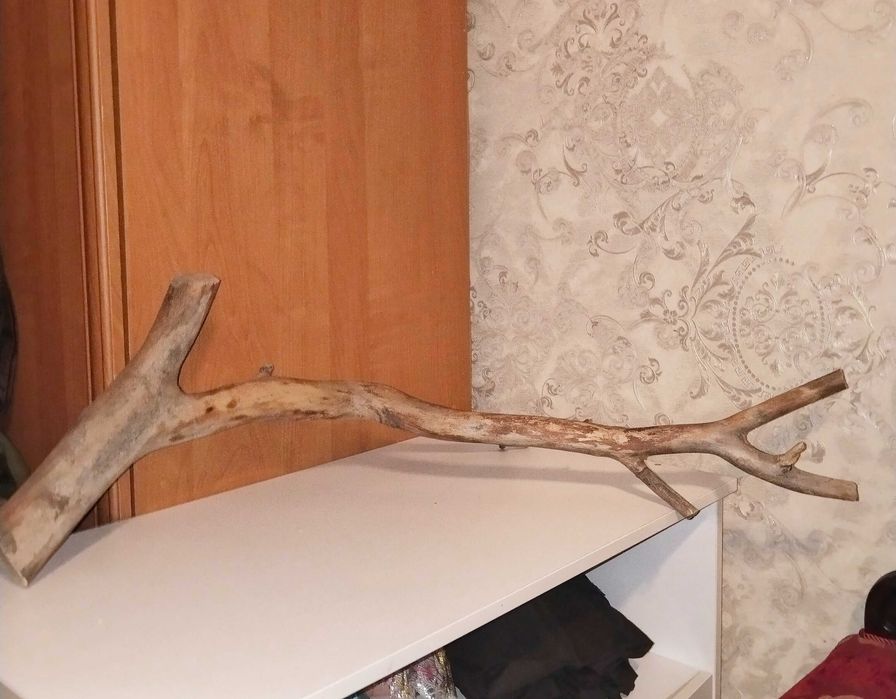 Коряга в аквариум большая