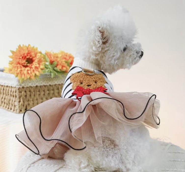 Зимно яке и рокличка за кученце XS