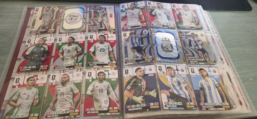 Cartonase Panini WC26