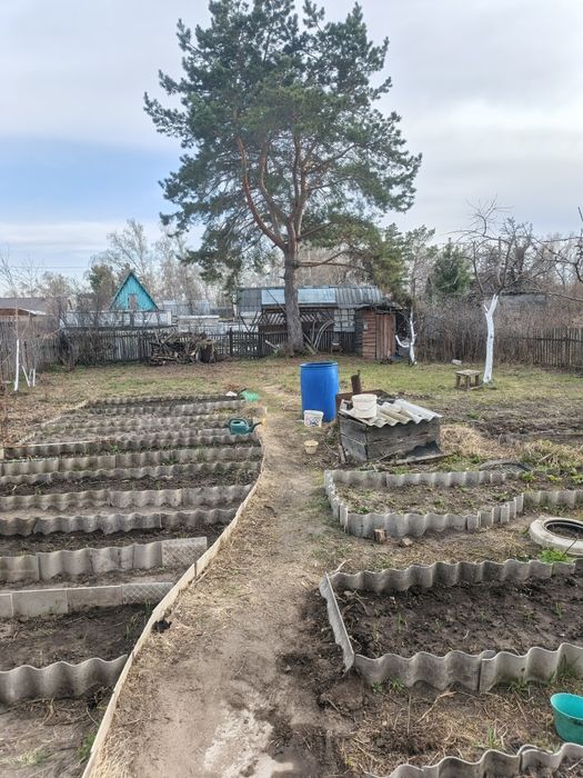 Продам дачу. Общество  " Горизонт"