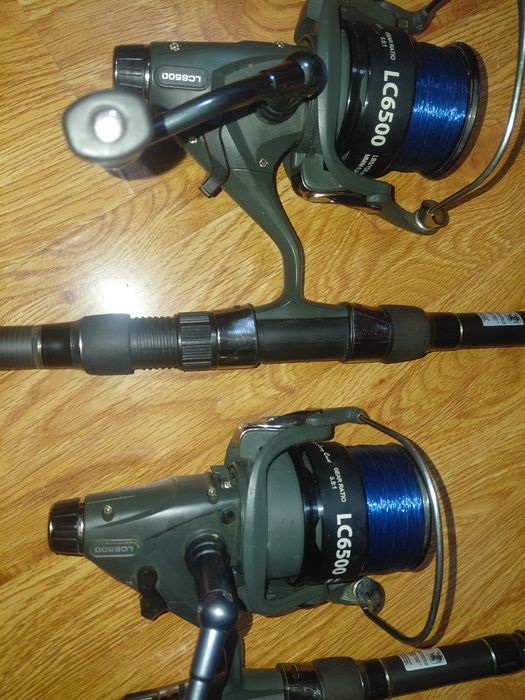 Lansete pescuit crap