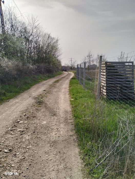 Vanzare teren 4000 mp Ulmi- Dambovita