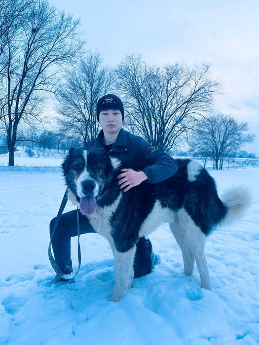 Тобет тяж маладой линия бар