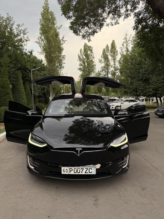 Tesla Model X Perfomance Duall Motor