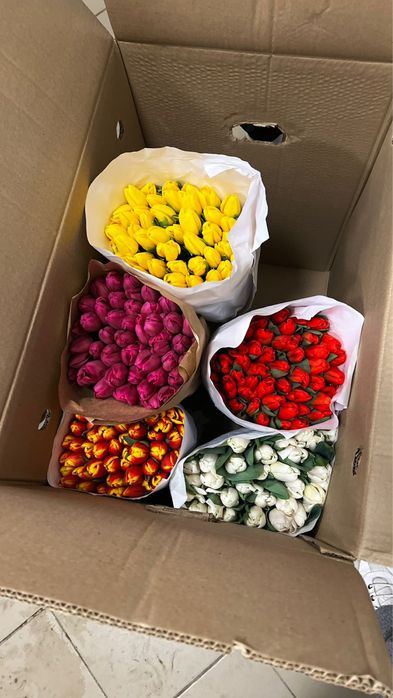 тюльпан корпоративные заказы