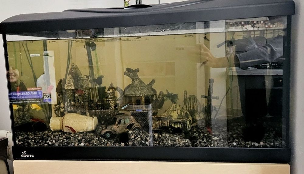 Urgent.Acvariu 120 L cu pești și accesorii