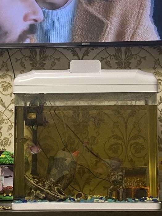 Продам аквариум 60 л с рыбками в хорошем сгстоянии