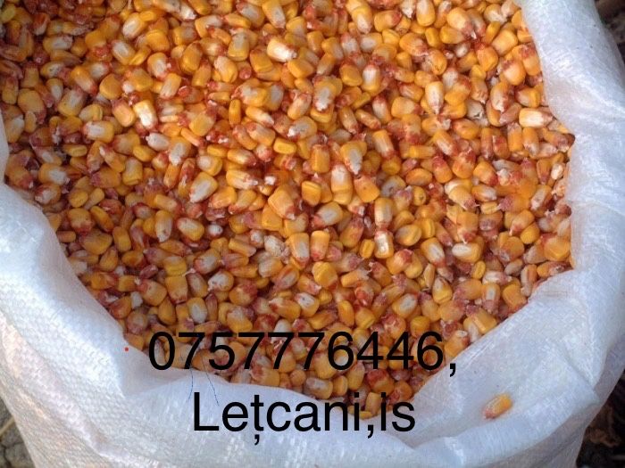 Porumb boabe, graunte