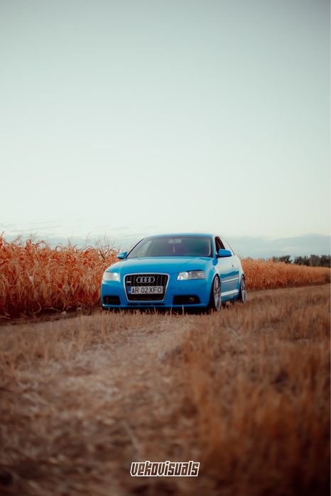 Vand /Schimb Audi A3 8P