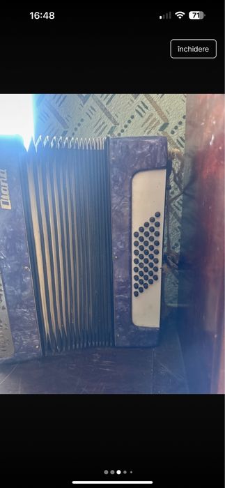 acordeon Diana de colectie