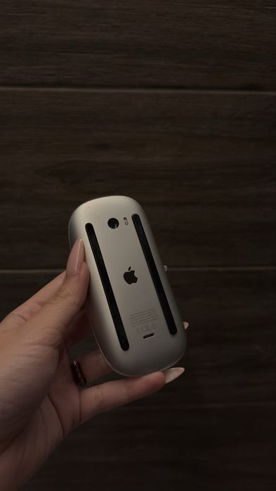 Magic Mouse utilizat