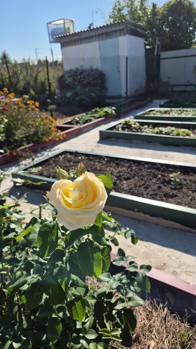 Продам дачу в поселке К.Кайсенова