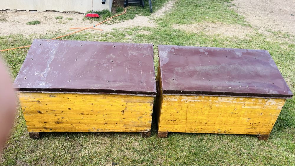 Custi ieppuri 200 bucata