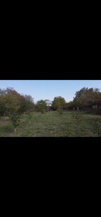 Vând casa si teren - Corbii Mari