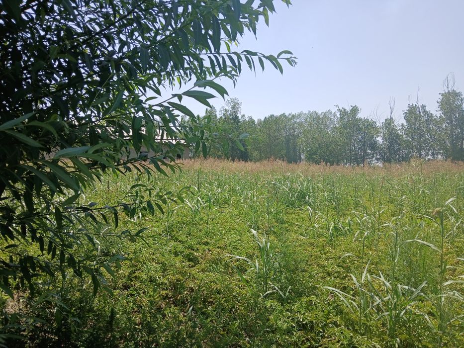 Yer sotiladi  srochniy