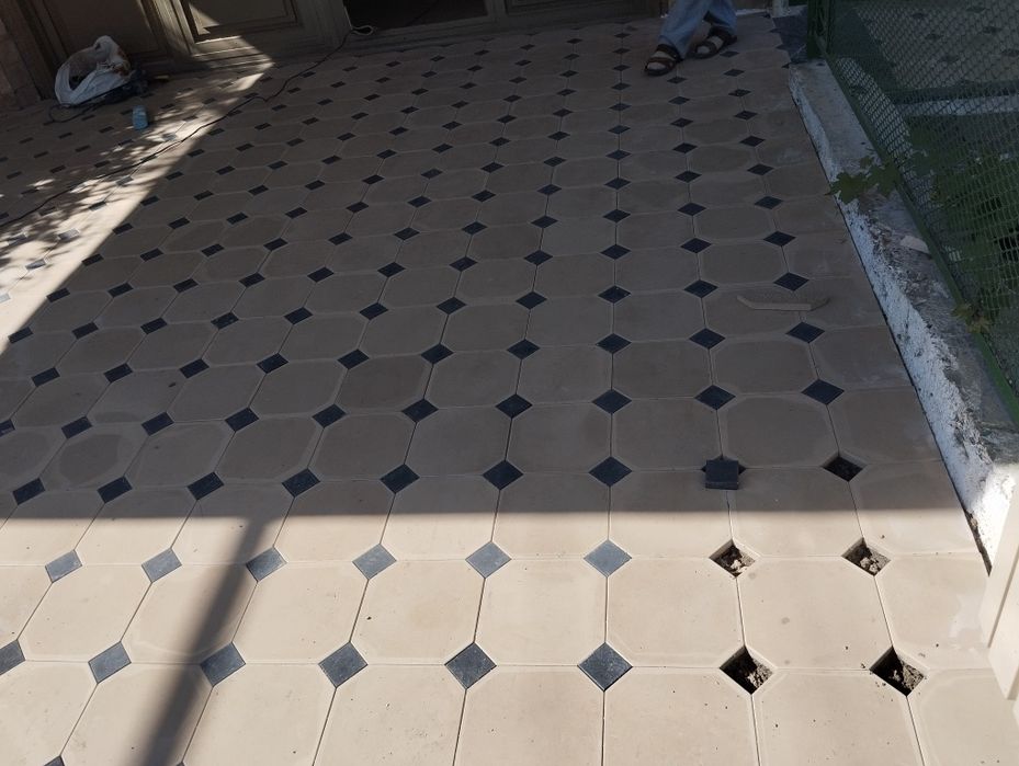 Сифатли бурсчатки