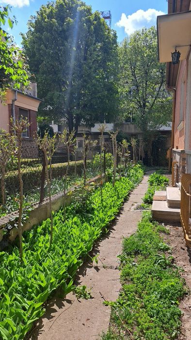 De inchiriat casă ultracentrală Arad la 50 m de Blv Revolutiei ,4 camere + demisol