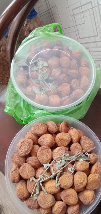 Quritilgan Subhon Isfara oʻriklar sotiladi