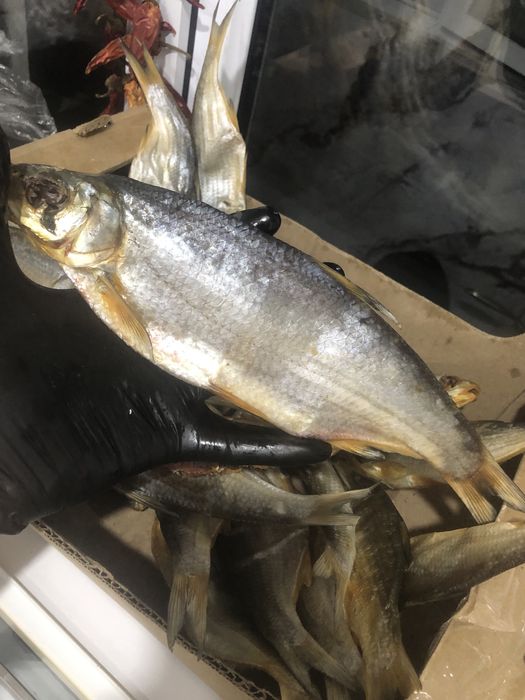 Майлы рыбец балығы(вяленый)