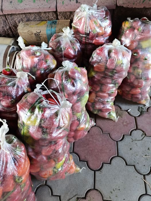 Перец болгарски сладкий 200 тг