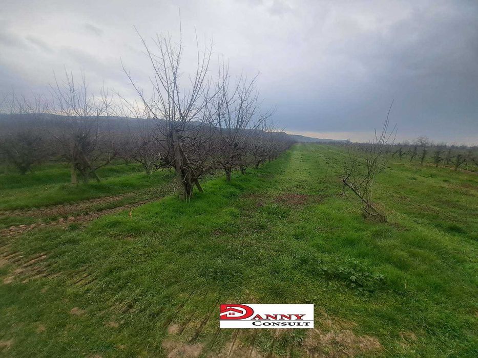 Продава се Земеделски имот в Велико Търново, Акация -  кв.м за 1836 €/дка - Снимка #6