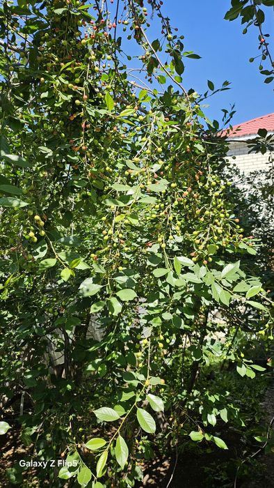 Продам коттедж жилгородок