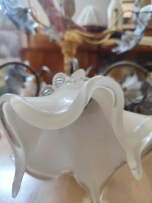 Полилей, италиански с височина 0,50 см