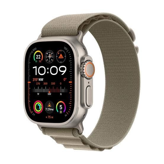 Curea pentru Apple Watch 49mm, Tan Alpine Loop, Natural Titanium