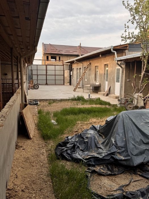 Tayor Ferma Sotiladi