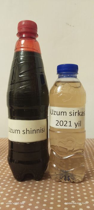 Sirka.        Shinni  bor