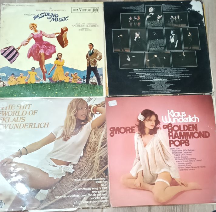 Vând discuri vinil în stare foarte buna