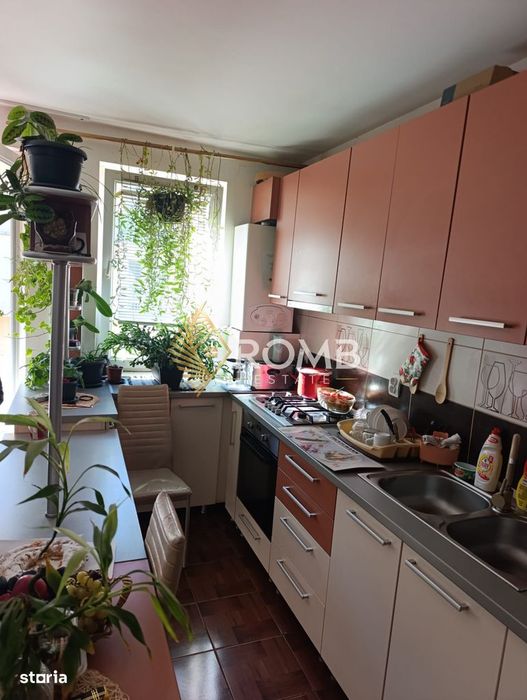 Apartament 3 camere