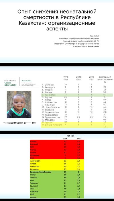 Услуга по переводу текста