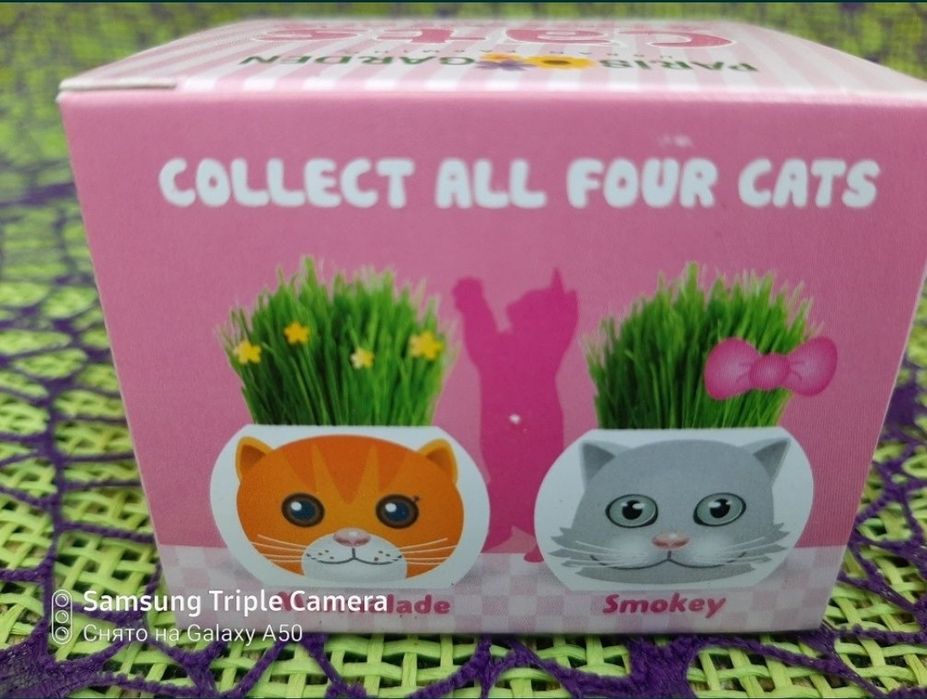 Необычный подарочек деткам