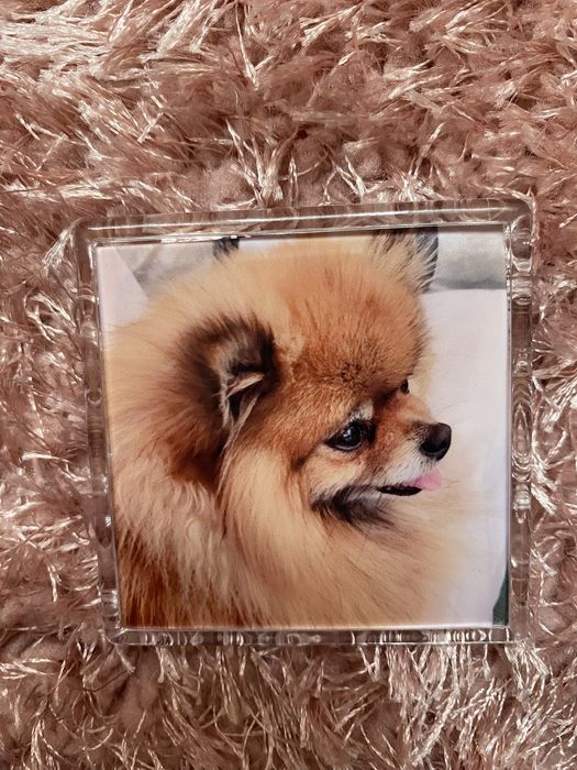 Магнит със снимка на любимец любим човек подарък куче рожден ден