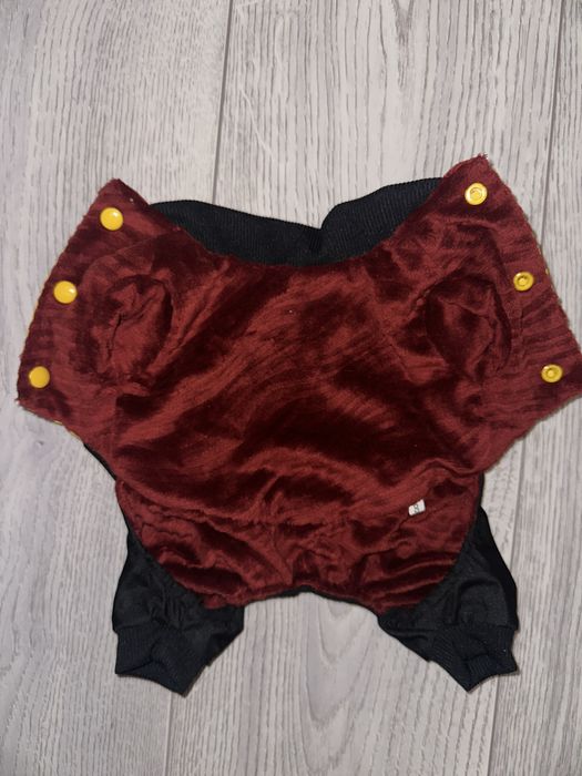 Одежда для Йоркширского терьера