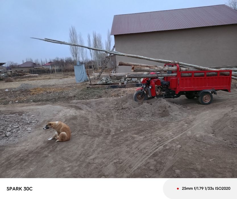 Lochin 200cc 1.5 tonna