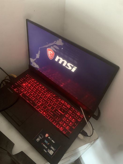 setap cu laptop si munitori