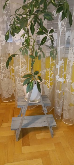 Дървен цветарник