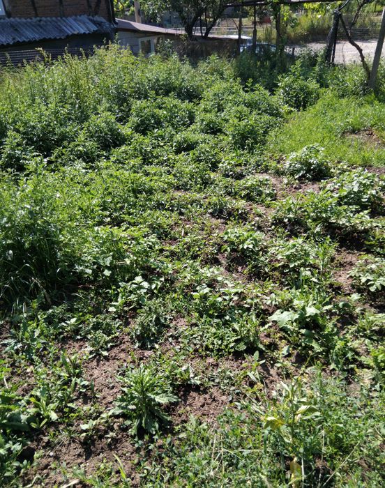 Продава къща в с.Мламолово общ.Бобов дол