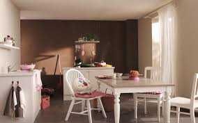 Антибактериальная краска с ионами серебра для мед.учреждений (Испания)