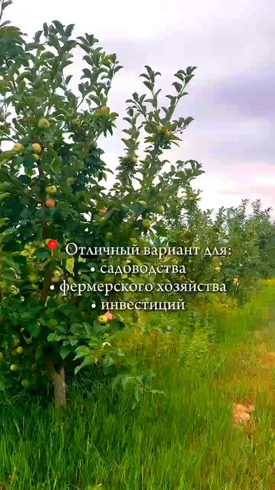 Земельный участок