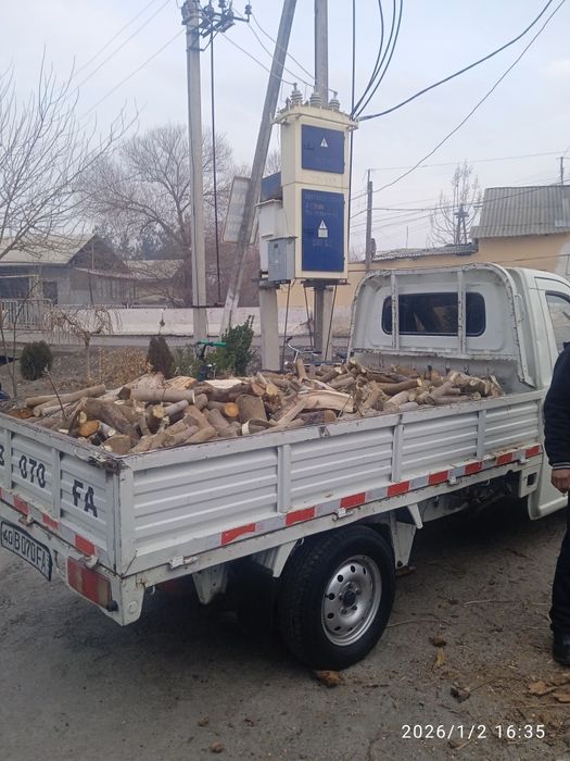 Утин сотилади хитое лабода