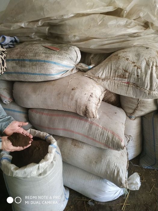 Олий навли Биогумус сотамиз тулов нахт, пластик, клик