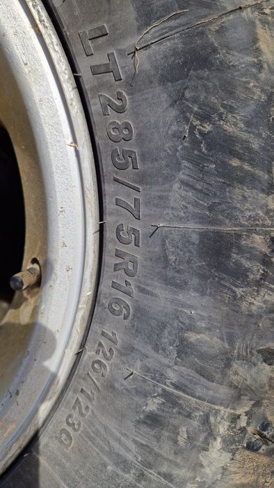 Roti complete 33 12.5 r 16