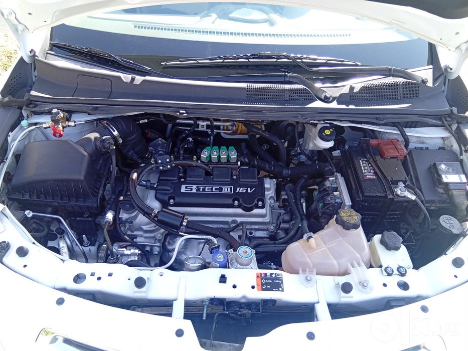 Kobalt 2025 ideal