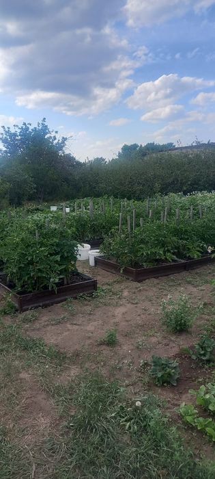 Продается дачный участок.